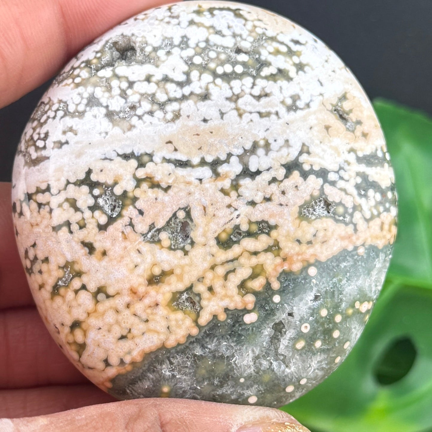Maravato Ocean Jasper Palm Stone