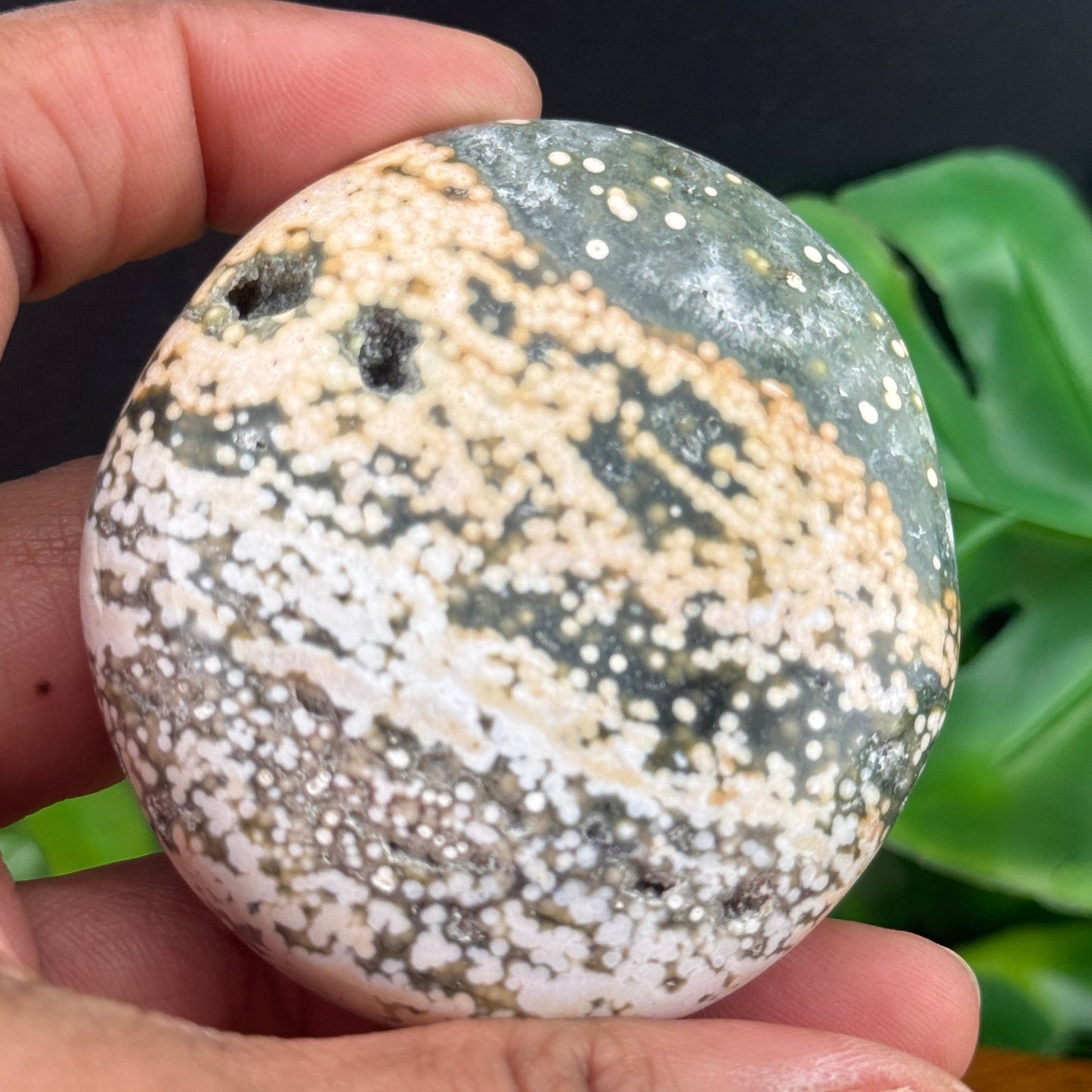 Maravato Ocean Jasper Palm Stone