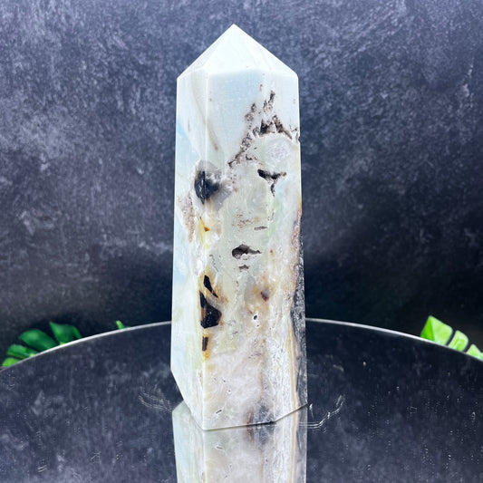 Caribbean Calcite Tower