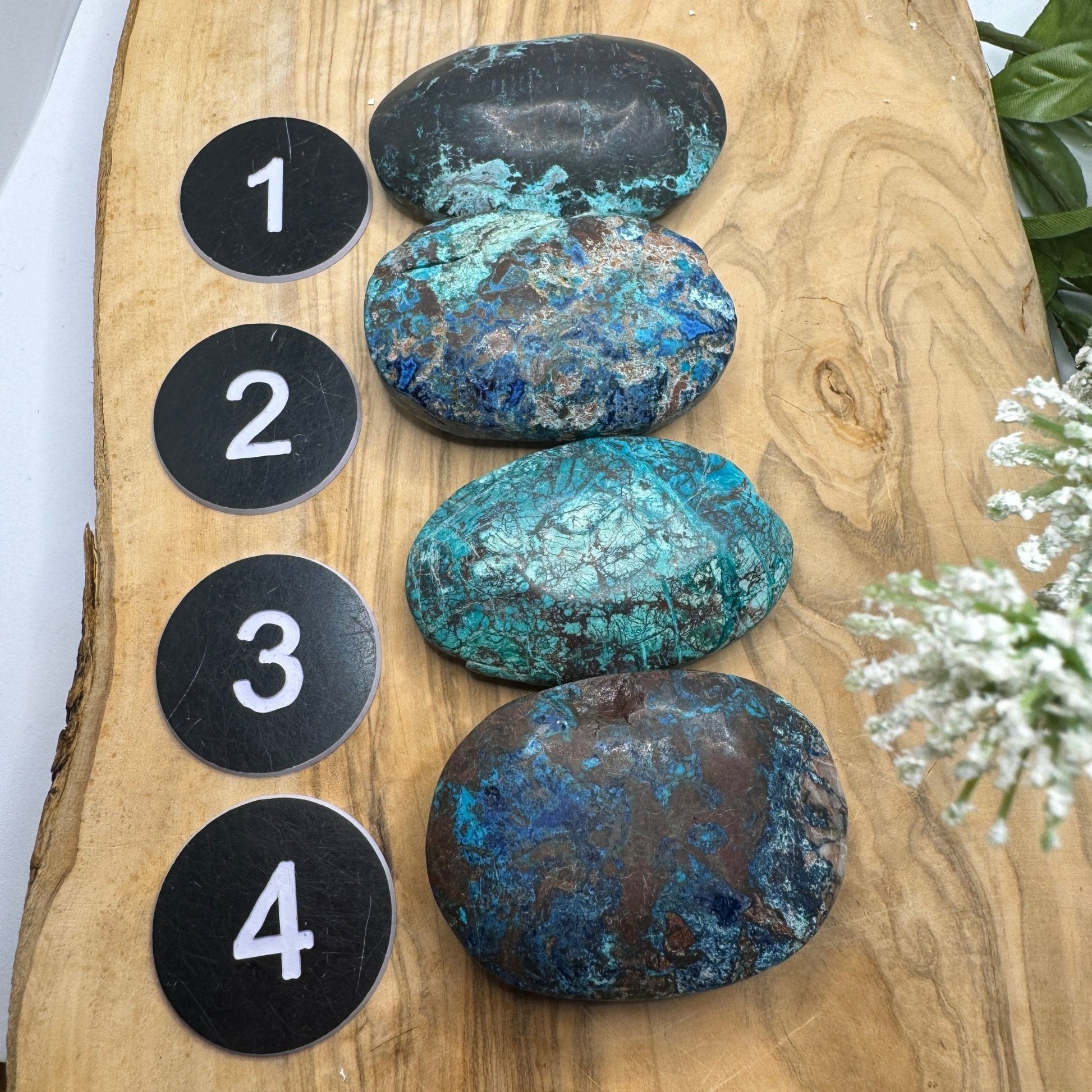 Natural Chrysocolla Palm Stone - Sage & Magic