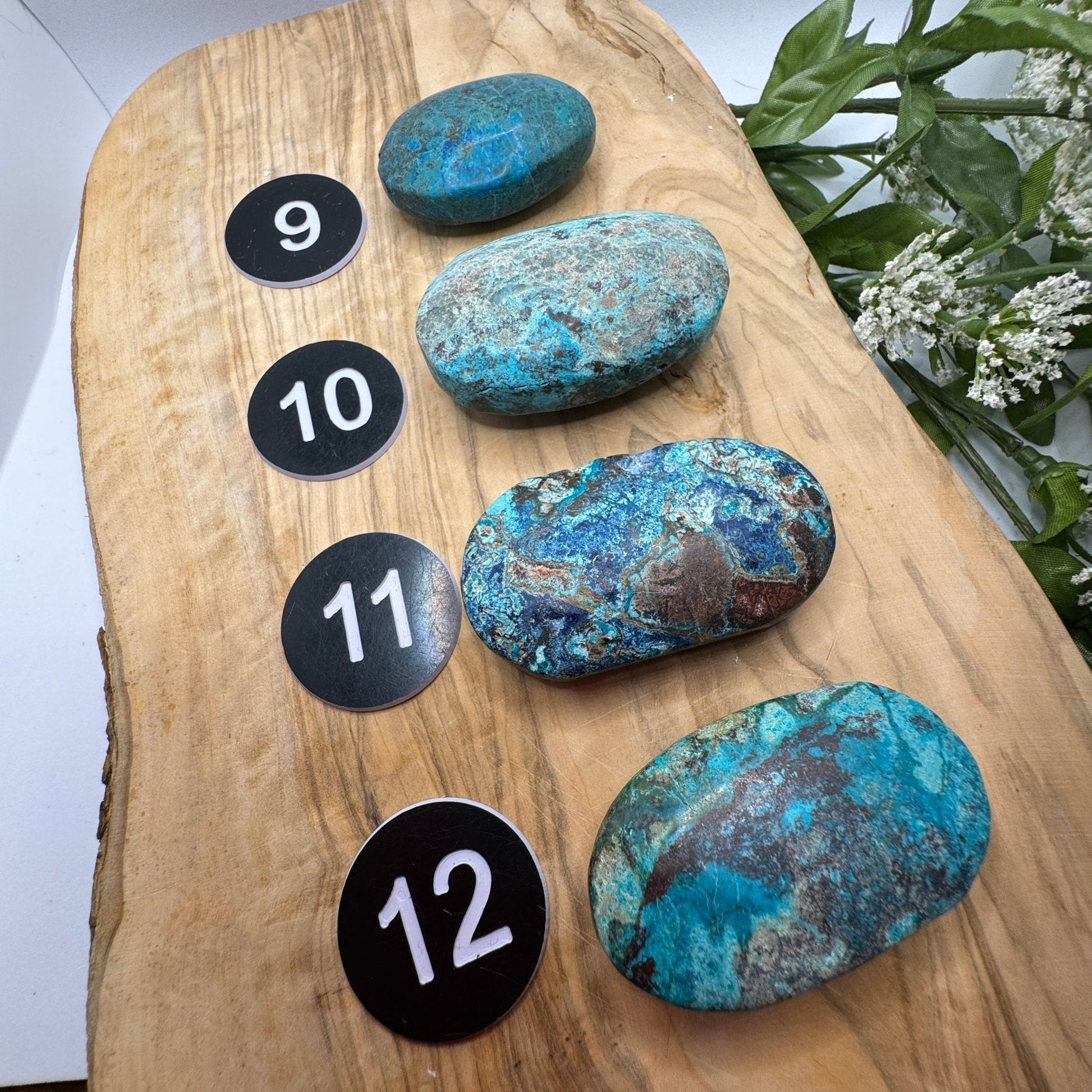Natural Chrysocolla Palm Stone - Sage & Magic